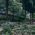 Chopina 43 *