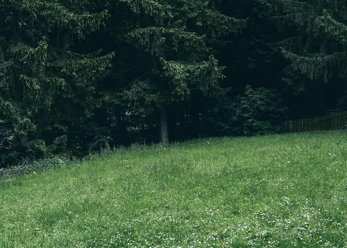 Chopina 43 Appartement